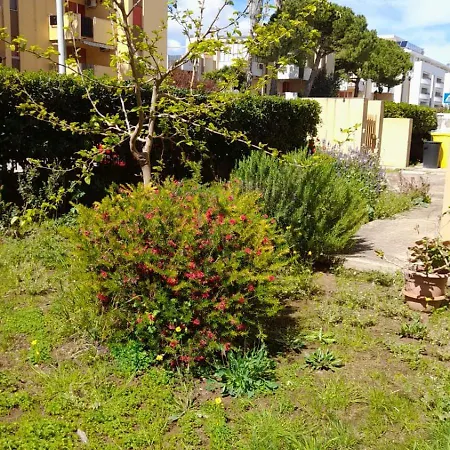Lo Mirall - Bilocale A 2 Minuti Dalla Del Lido Di Apartment *