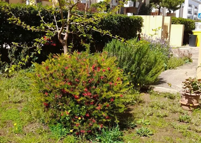 Lo Mirall - Bilocale A 2 Minuti Dalla Del Lido Di Apartament *